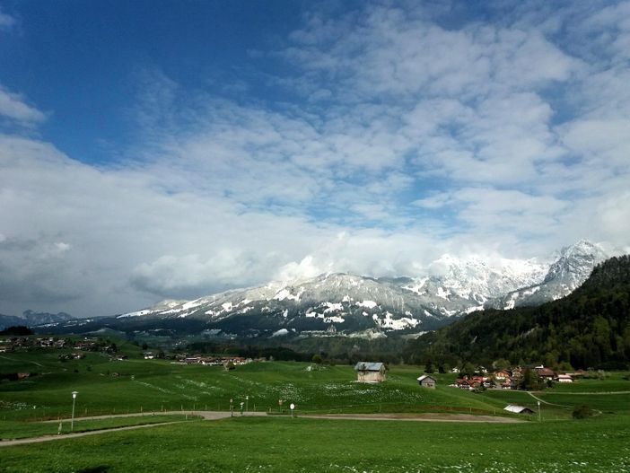 Frühling im Schnee