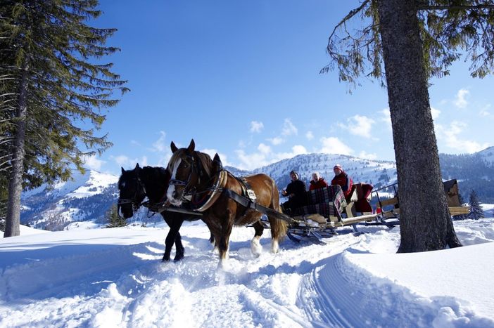 Kutsch- und Schlittenfahrten durch den Winter