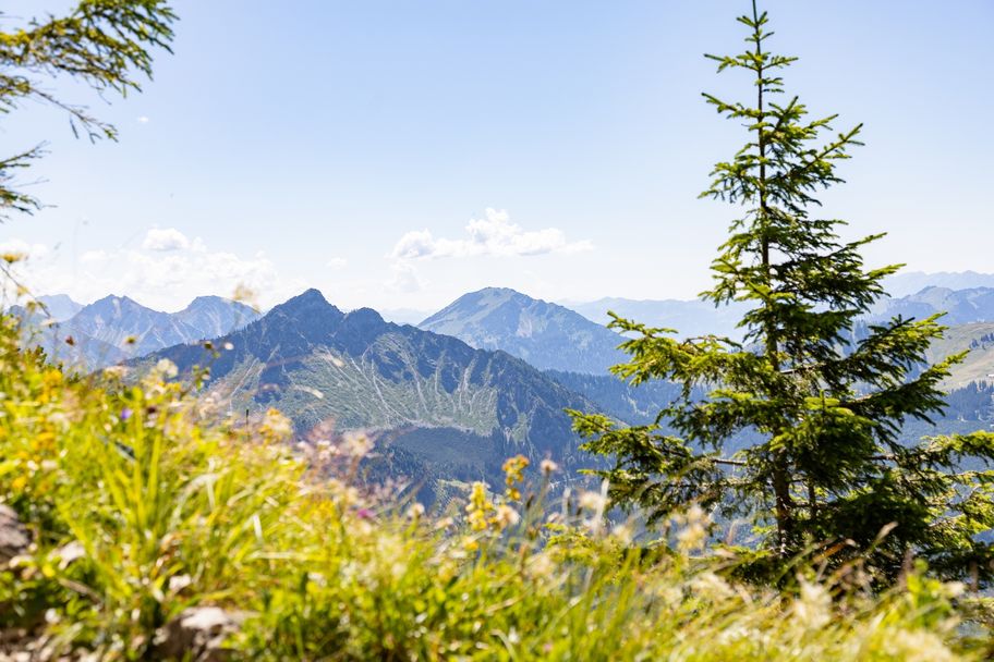 Bergpanorama