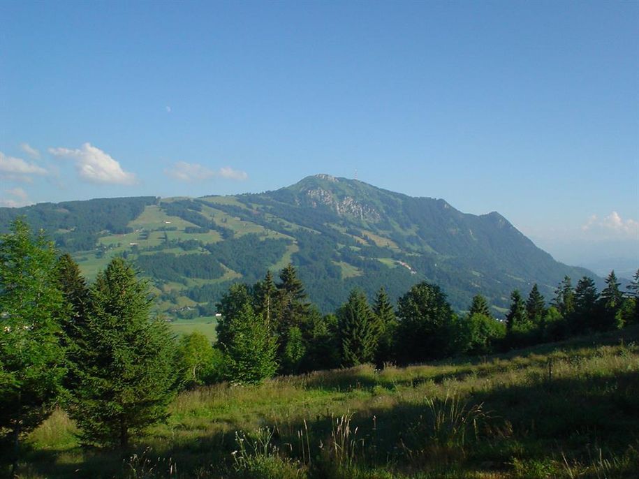 Grünten