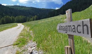 ...und da geht´s hin!