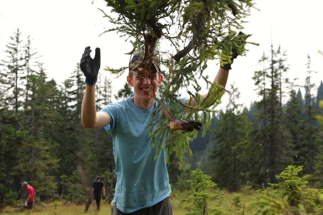 Viel zu tun fürs Auerhuhn!_Theresa Hilber