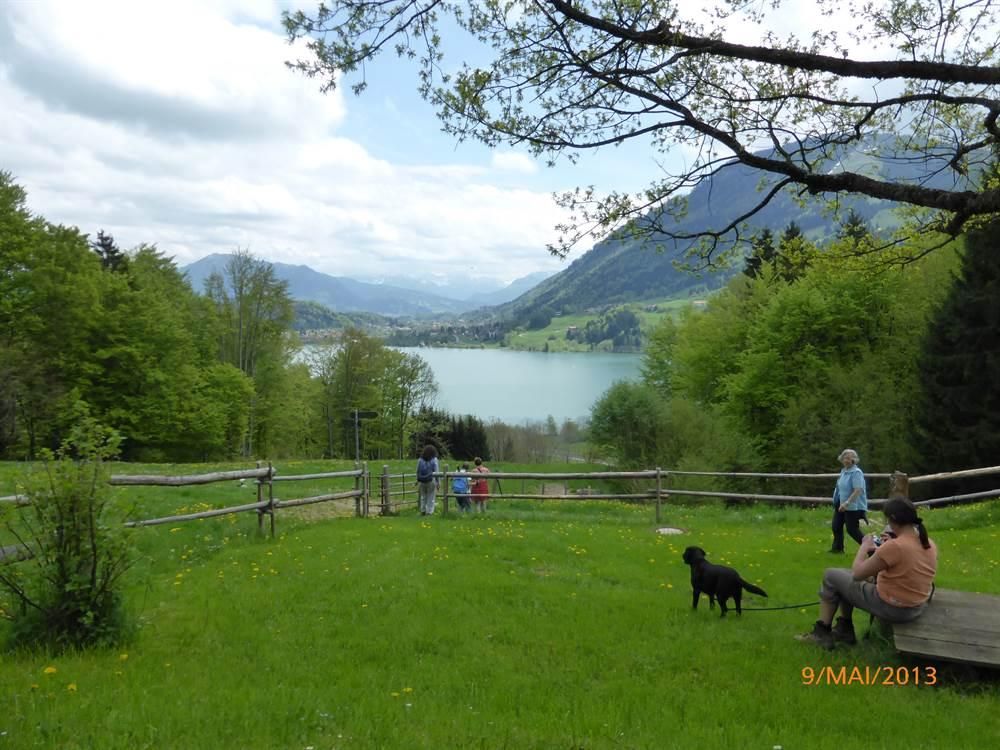 Alpsee Spatziergang