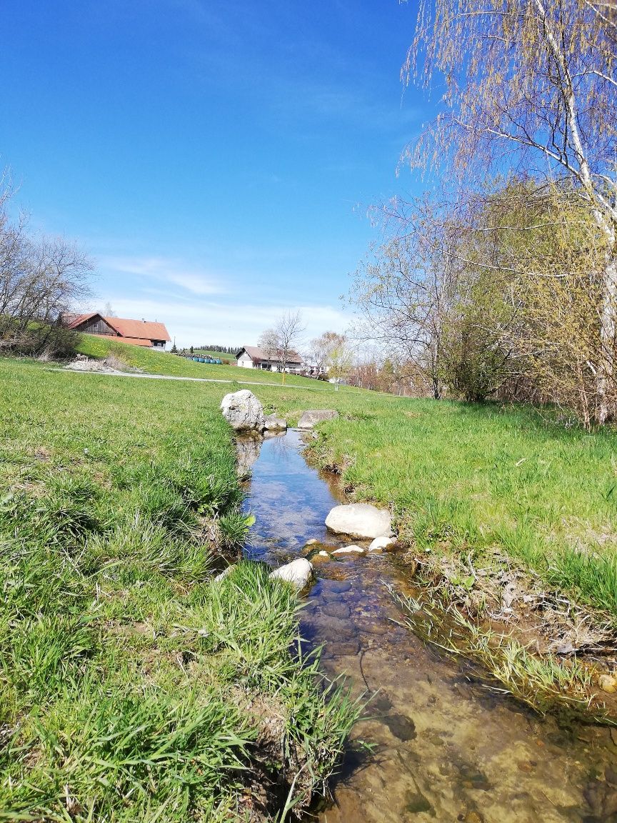 Von Wiggensbach über den barrierefreien Wasserweg nach Westenried