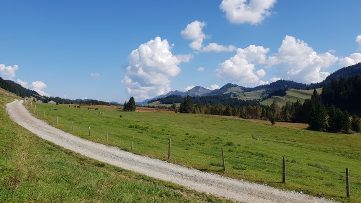 Der Weg ist das Ziel ...