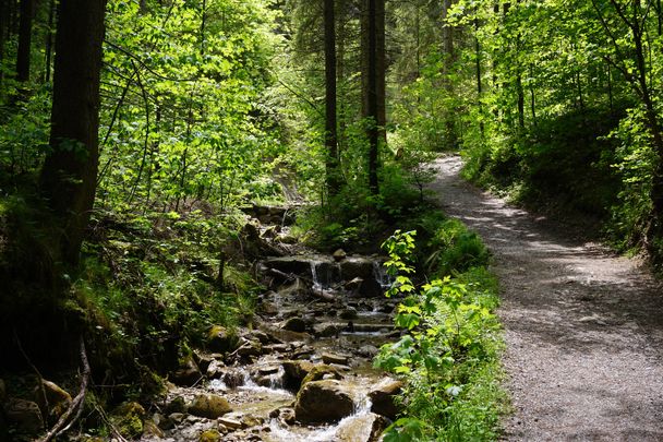 Allgäuer Königsalpenroute - Etappe 3: Nesselwang-Seeg