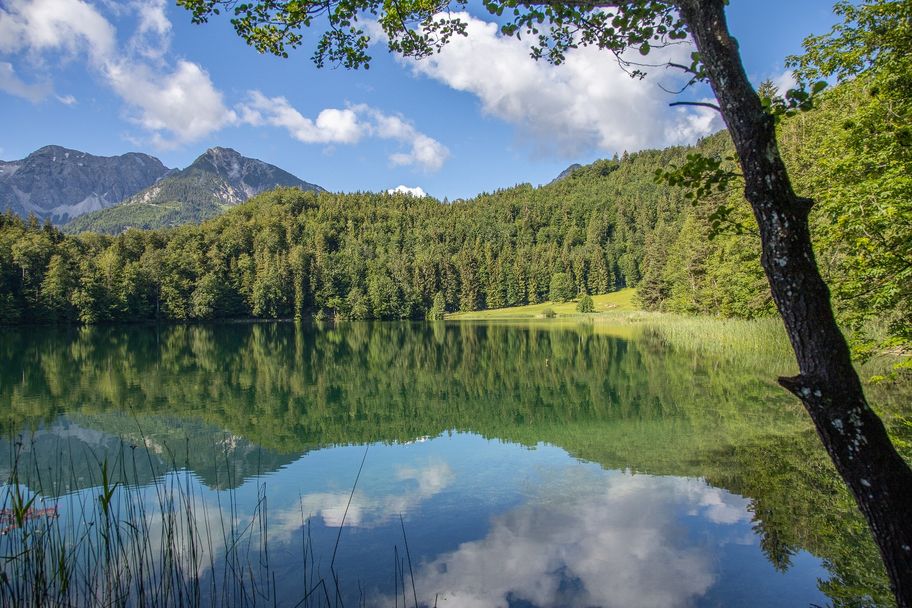 Blick auf die Liegewiese am Alatsee