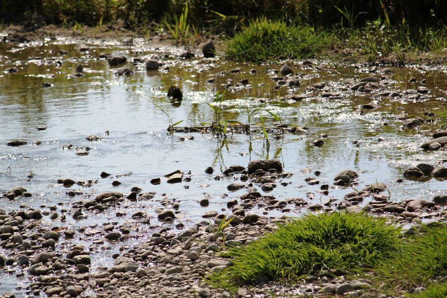 Der Mindel im Kneippland Unterallgäu ganz nahe kommen