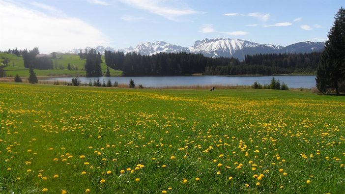 Kögelweiher bei Nesselwang