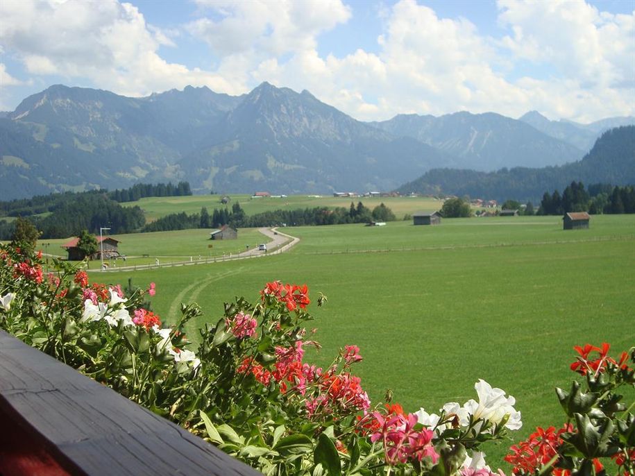 Blick im Sommer