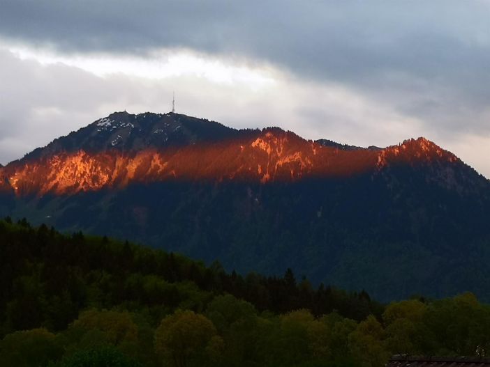 Blick auf den Grünten