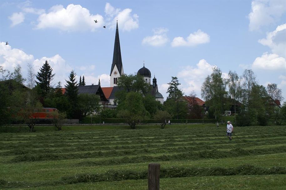 Fischen im Allgäu
