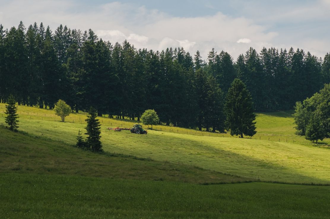 Grüne Wiesen und Wald bei Knottenried
