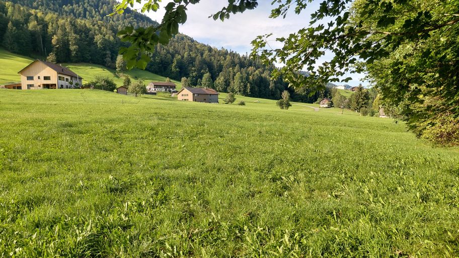 Blick auf die Parzelle Helmisau