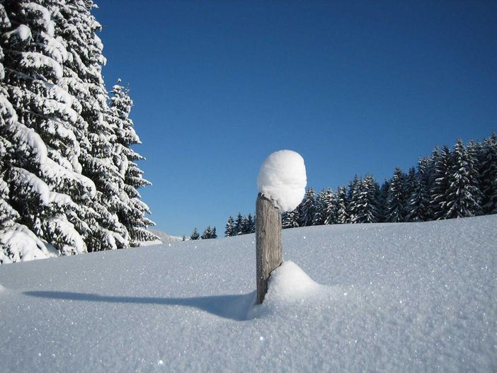 Winterimpression