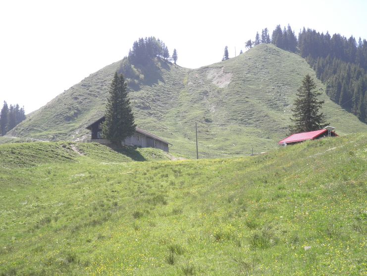 Alpspitzgipfel bei Nesselwang im Allgäu