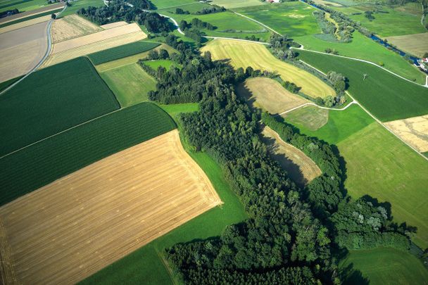 Glückskraft-Weg - Wasser spüren in Kettershausen