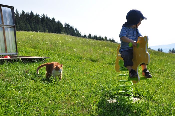 Unbeschwert spielen mitten in der Natur