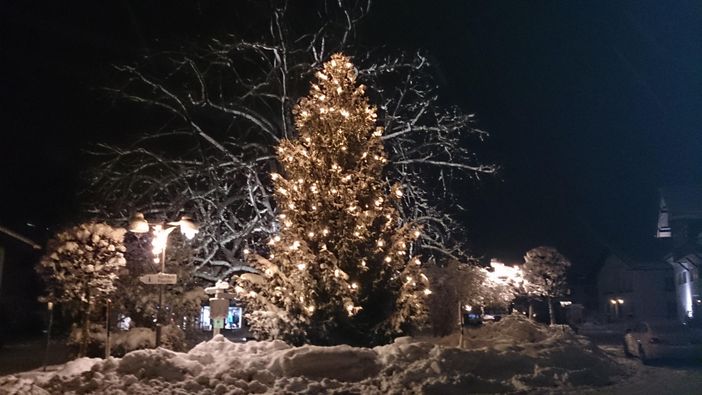Der Weihnachtsbaum in Fischen