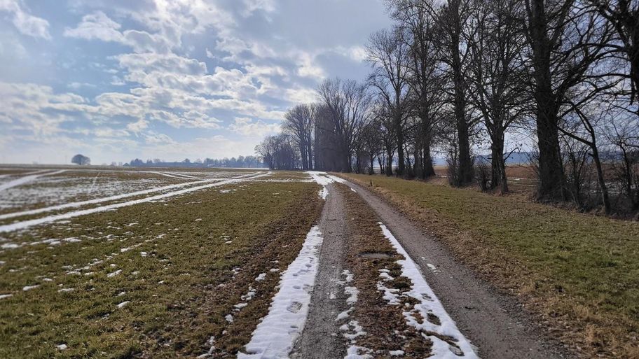 Stadtwaldrunde in Buchloe