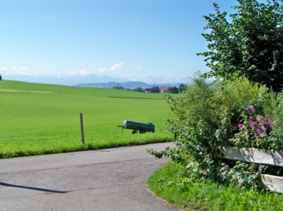 Genießen Sie den herrlichen Ausblick