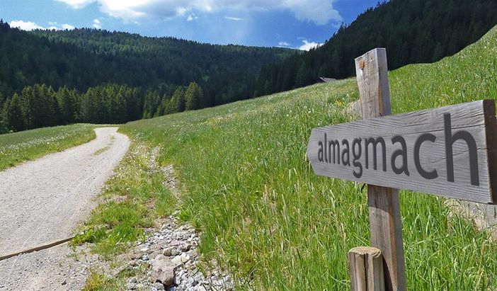 ...und da geht´s hin!