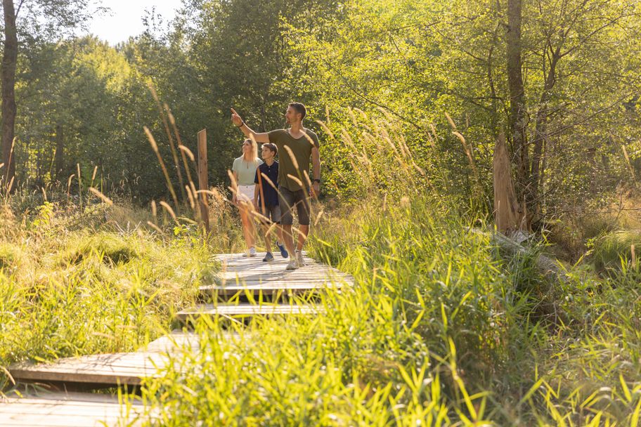 Buxheim Walderlebnispfad-Louis Zuchtriegel (1)