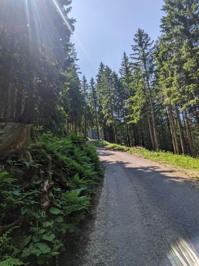 Fire Trail Nesselwang
