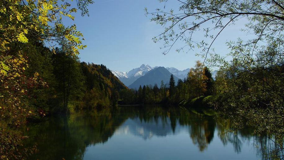 Auwaldsee bei Fischen-Au