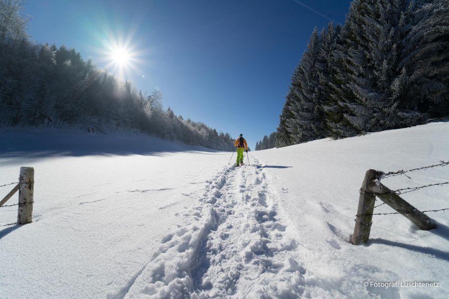 Alpsee-Grünten-Tourismus (5 von 8)