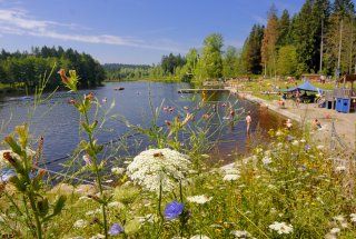 Waldseebad