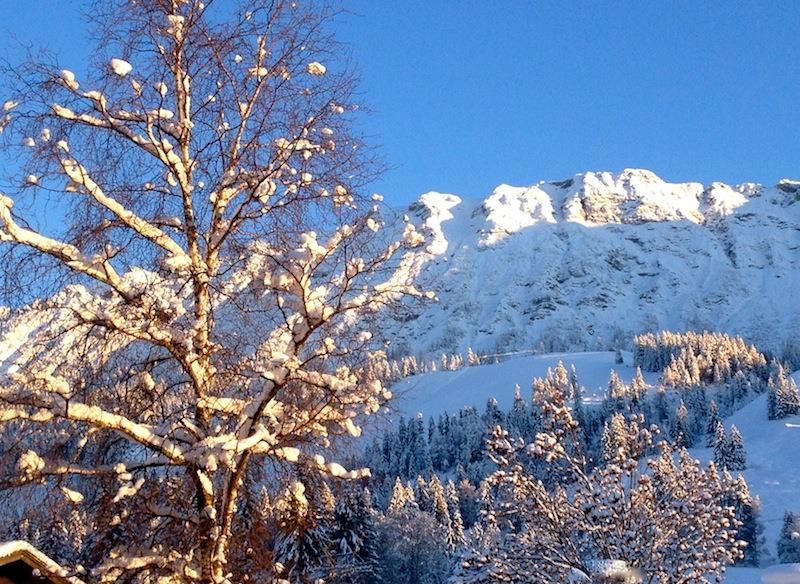 Winterstart