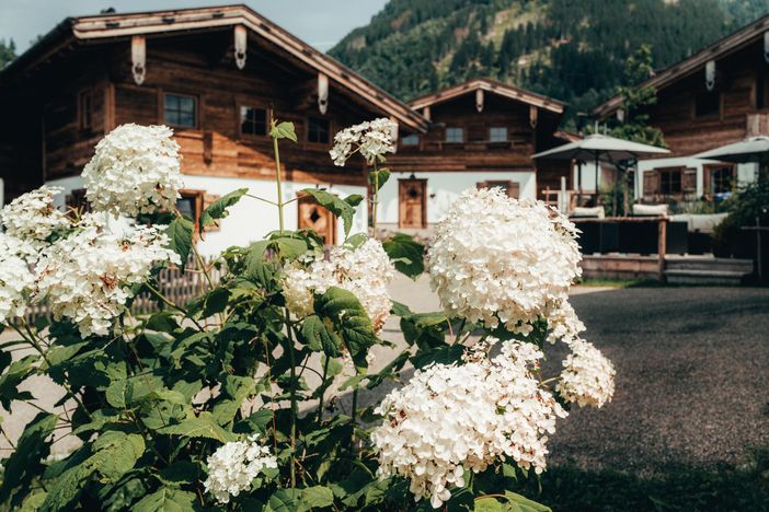 18_alpzitt_allgaeu_alps_chalets_chaletdorf_burgber