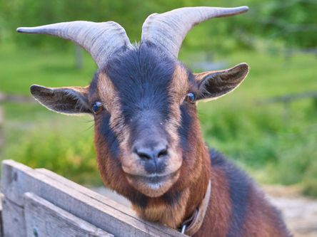 Schau doch mal vorbei!