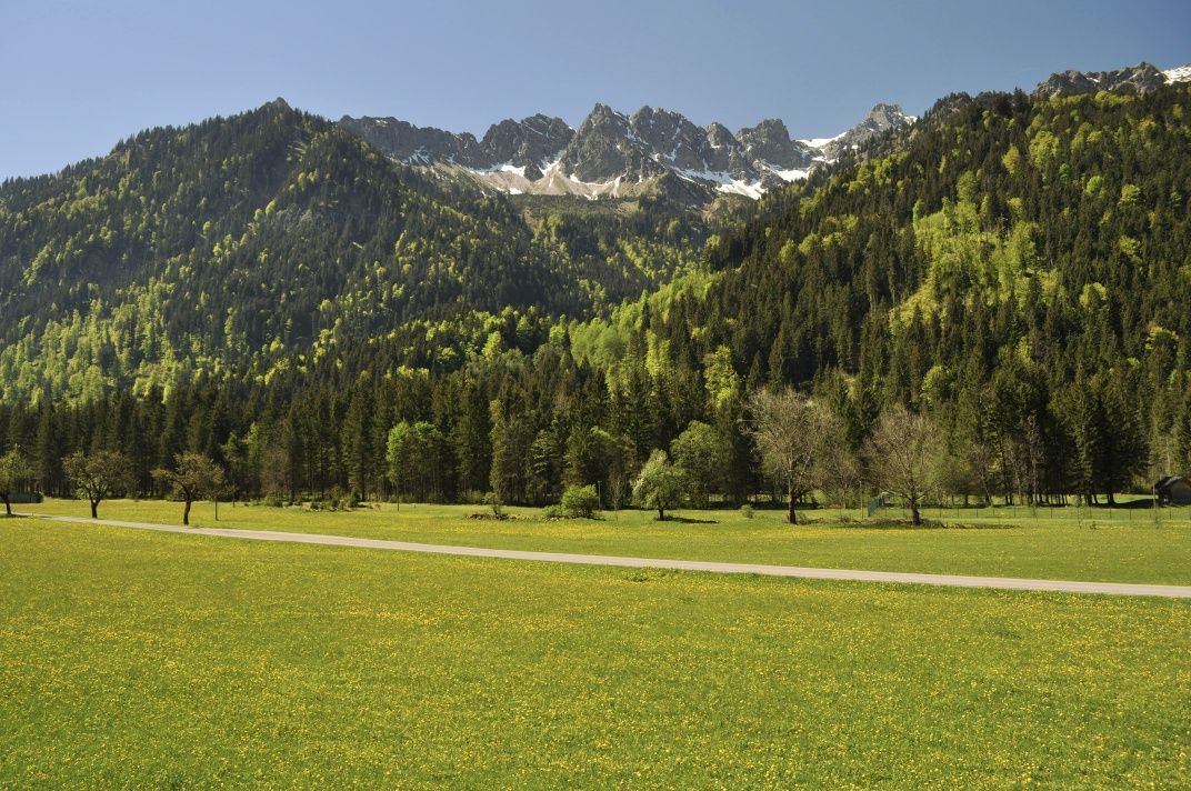 Bergblick Hinterstein