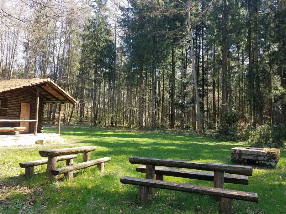 Grillplatz im Buchwald