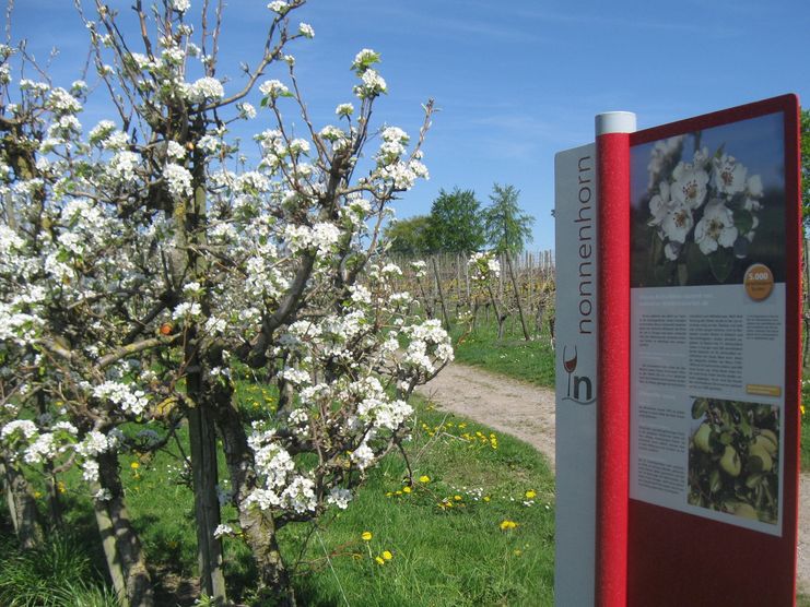 Im Frühling auf dem Genießerweg