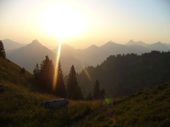 Aussicht auf den Morgen
