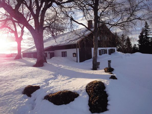 Alpe wied 019