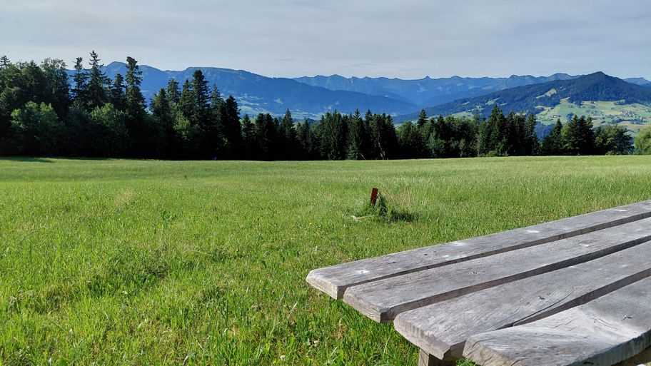 Blick zur Damülser Mitagsspitze