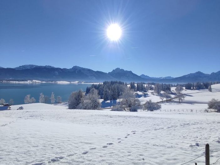 Winterimpression