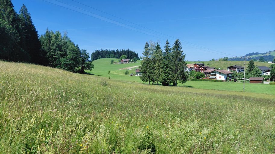 Blick auf die Parzelle Halden