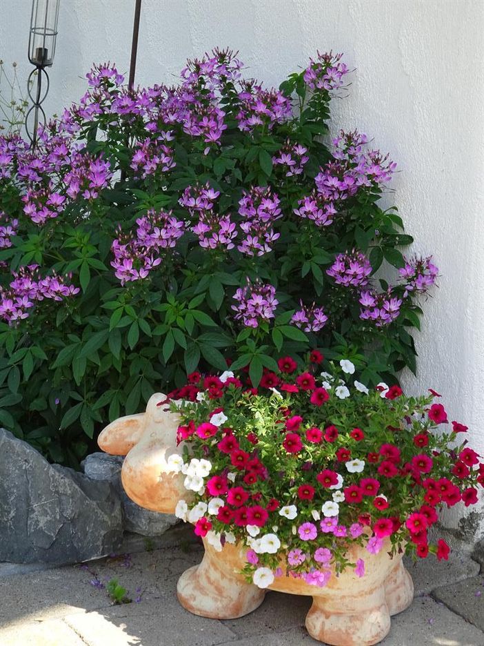Blumenschmuck