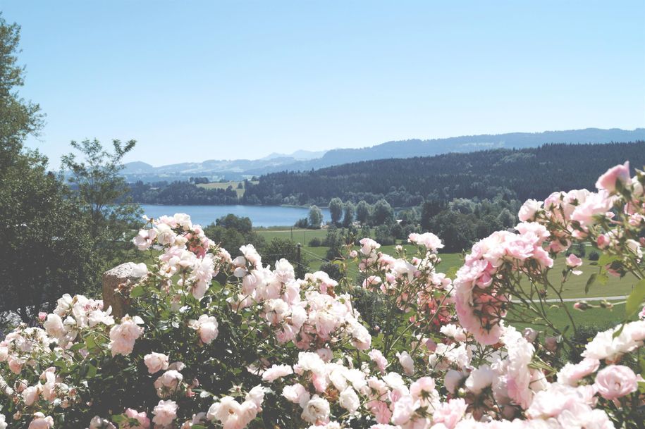 See_Aussicht