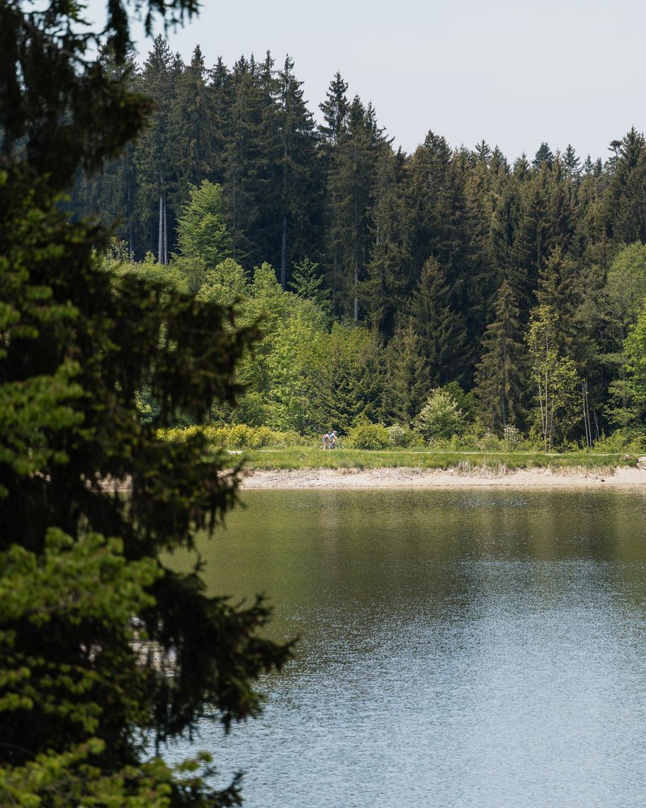 Radeln am Kögelweiher