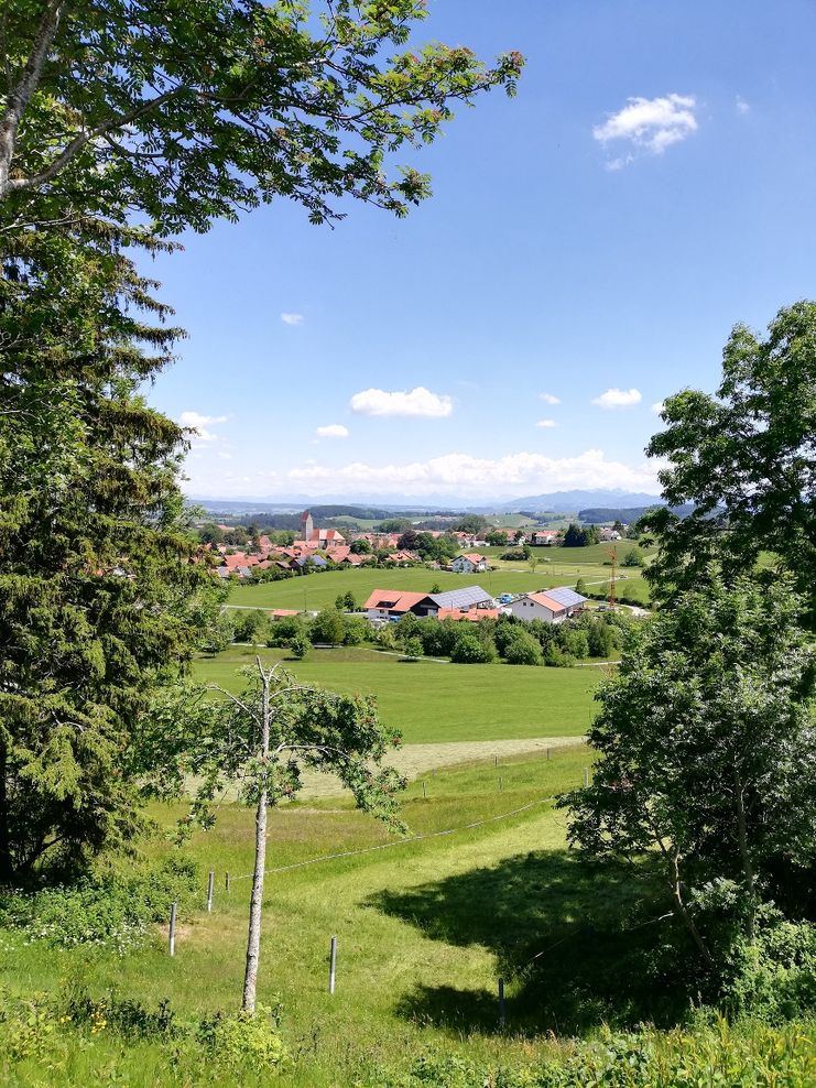 Von Wiggensbach zur ehemaligen Burgstelle Suseck