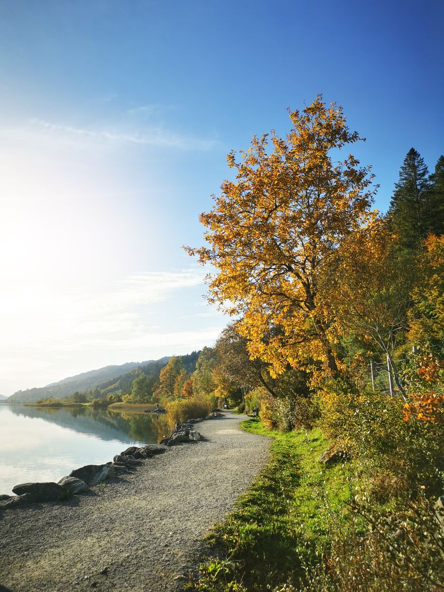 Promenade am Großen Alpsee