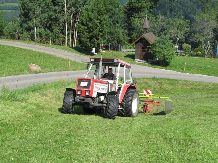 Bauernhoferlebnis im Sommer
