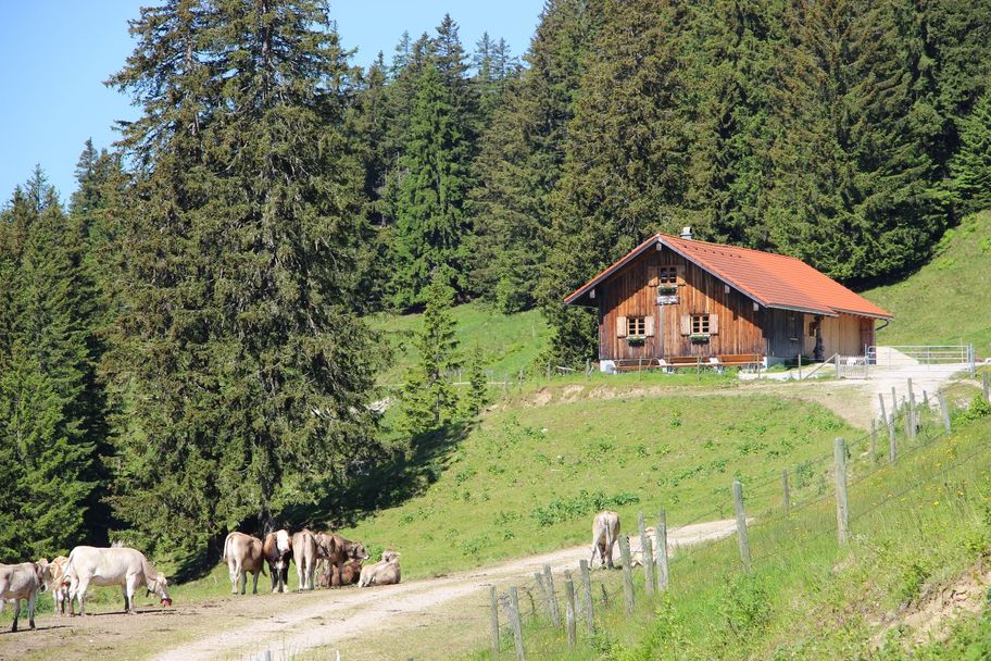 Alphütte Dinserhütte