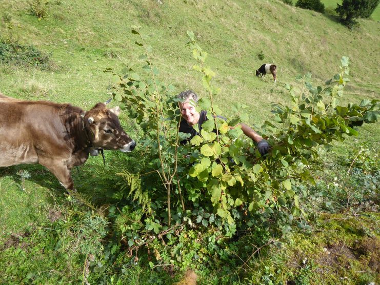 Felsen frei für den Apollo!_Theresa Hilber_klein